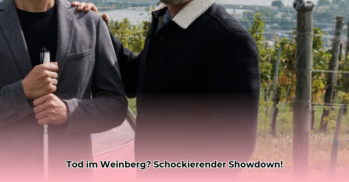 blind-ermittelt-tod-im-weinberg